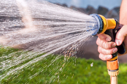 watering your lawn in the summer